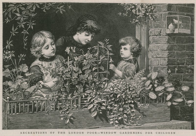 Recreaciones de los pobres de Londres: Jardinería en ventanas para niños de Charles J. Staniland