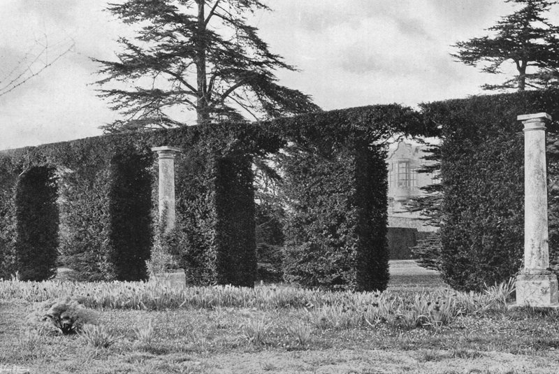 Un seto arqueado majestuoso de Charles Latham