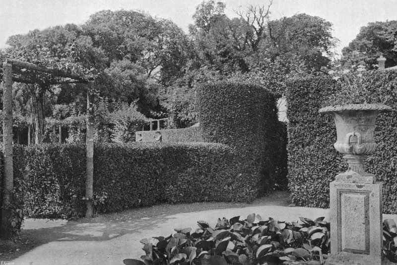 Cerca del rosal de Charles Latham