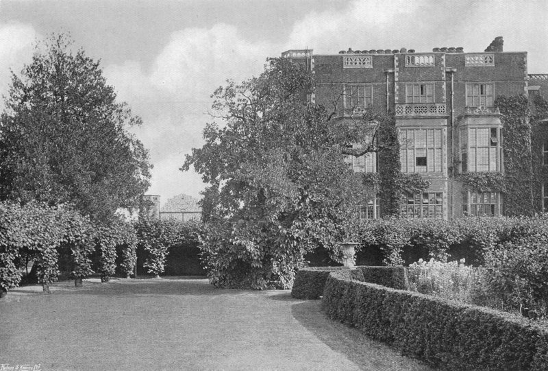 El viejo árbol de morera de Charles Latham