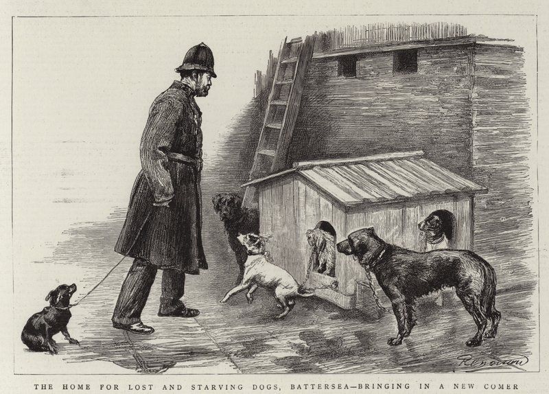 El hogar para perros perdidos y hambrientos, Battersea, trayendo un nuevo compañero de Charles Paul Renouard