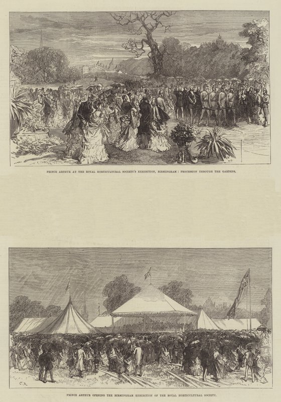 El príncipe Arturo en la Exposición de la Sociedad Real de Horticultura en Birmingham de Sir John Charles Robinson