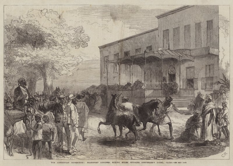 La expedición abisinia, oficiales de transporte comprando mulas frente al Hotel Shepheard, El Cairo de Sir John Charles Robinson
