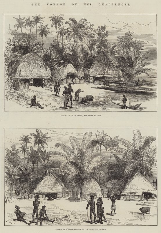 El Viaje del HMS Challenger de Sir John Charles Robinson