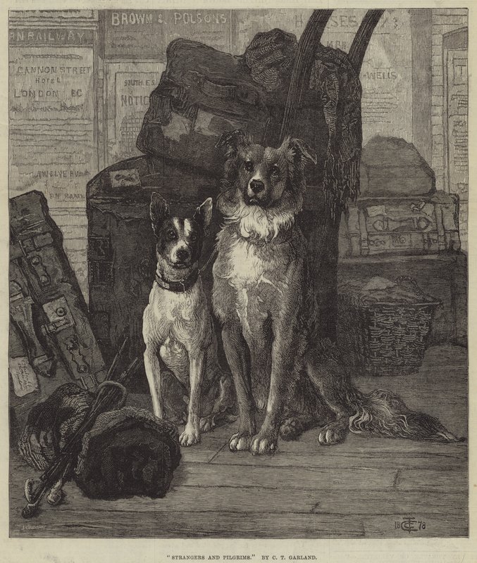 Extraños y peregrinos de Charles Trevor Garland