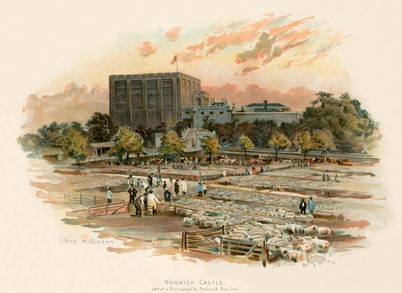 Castillo de Norwich de Charles Wilkinson