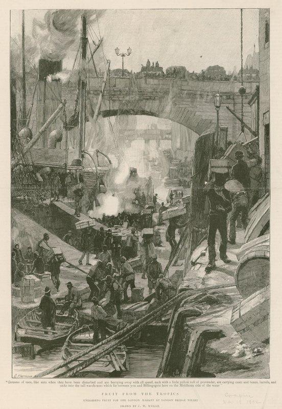 Fruta de los trópicos de Charles William Wyllie