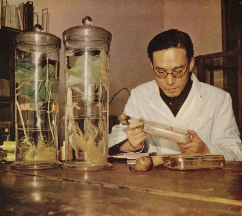 Químico agrícola chino del Instituto de Investigación de Changchun, República Popular China, años 50 de Chinese Photographer