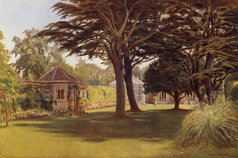 Eine Zeder breitete seine dunkelgrünen Schichten von Schatten aus, Osborne Cottage von Cyril Ward