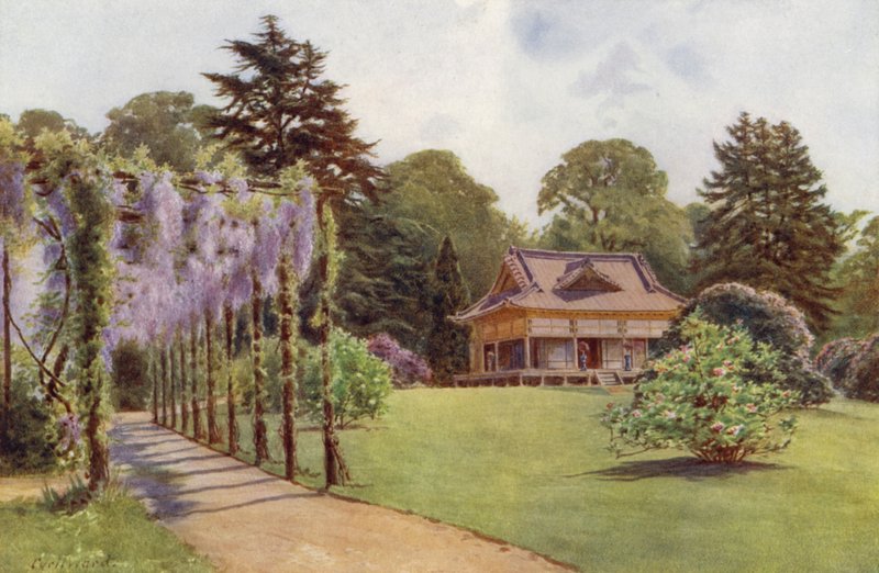 La casa japonesa y la pérgola Wistaria, Bagshot Park (litografia en color) de Cyril Ward