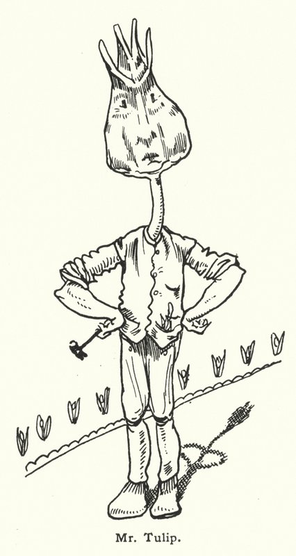 Señor Tulipán de Dion Clayton Calthrop