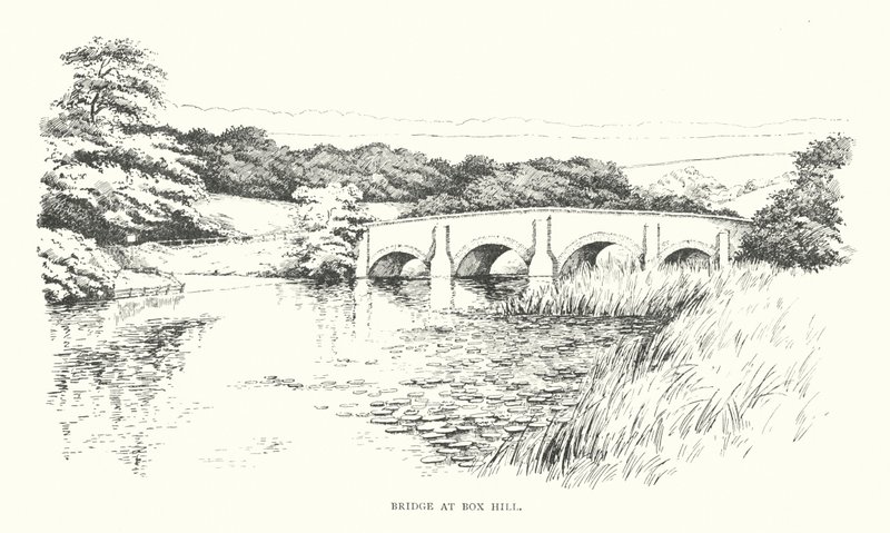 Puente de Box Hill (litografía) de Duncan Moul
