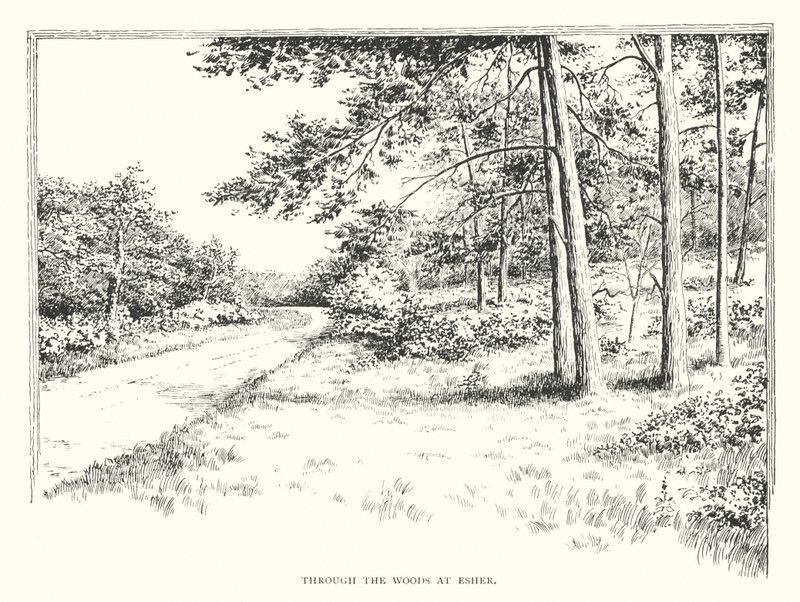 A través de los bosques de Esher (litografía) de Duncan Moul