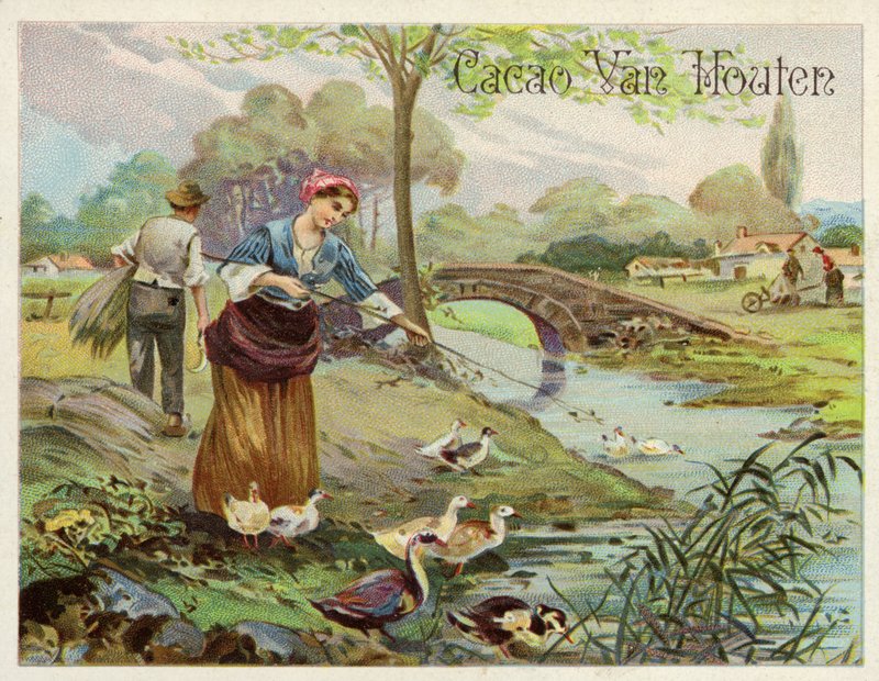 Cuidado de patos de Dutch School