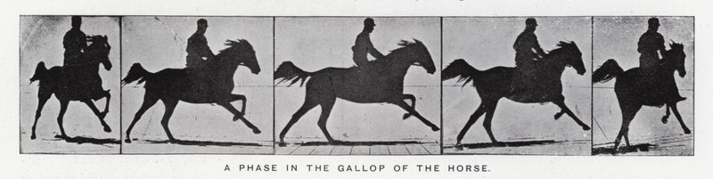 Eadweard Muybridge: Una fase en el galope del caballo de Eadweard Muybridge