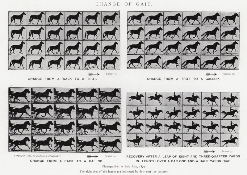 Eadweard Muybridge: Cambio de Andar de Eadweard Muybridge