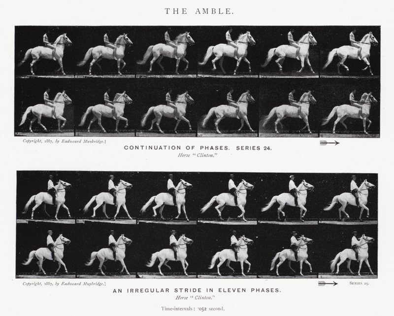Eadweard Muybridge: El Andar de Eadweard Muybridge