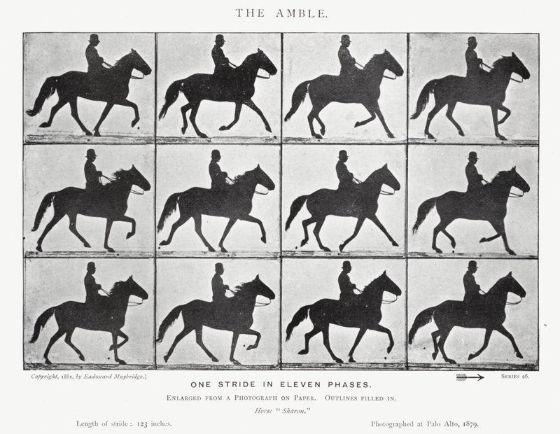 El Paso de Eadweard Muybridge