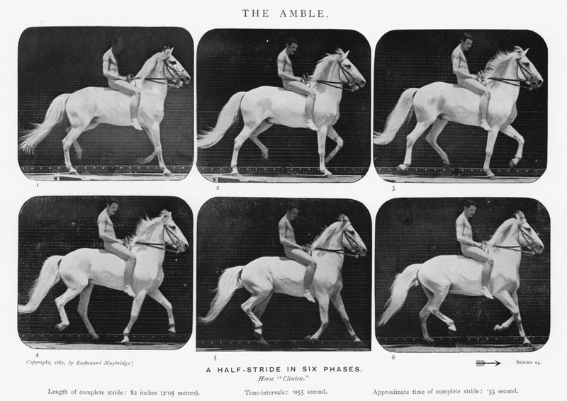 El Paso de Eadweard Muybridge