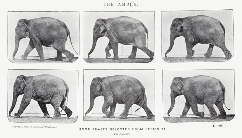 El Paso de Eadweard Muybridge