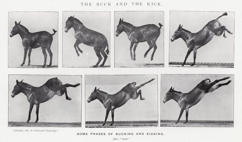 El Brinco y la Patada de Eadweard Muybridge