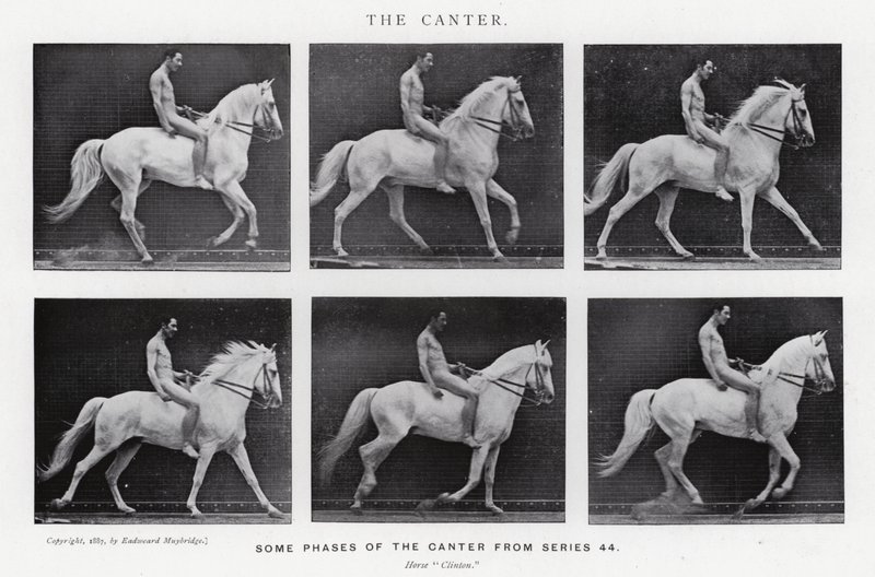 Eadweard Muybridge: El galope (foto en b/n) de Eadweard Muybridge