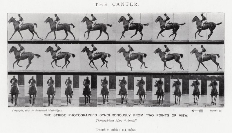 El Galope Corto de Eadweard Muybridge
