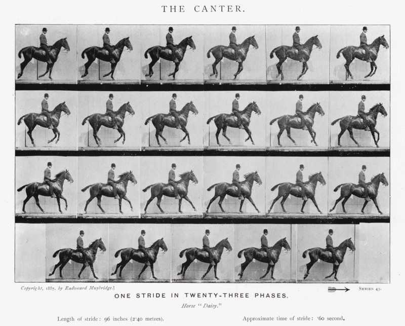 El Galope Corto de Eadweard Muybridge