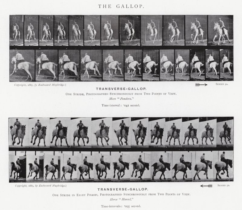 Eadweard Muybridge: El Galope de Eadweard Muybridge