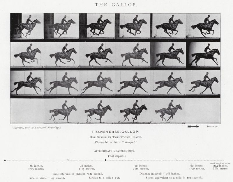 Eadweard Muybridge: El Galope de Eadweard Muybridge