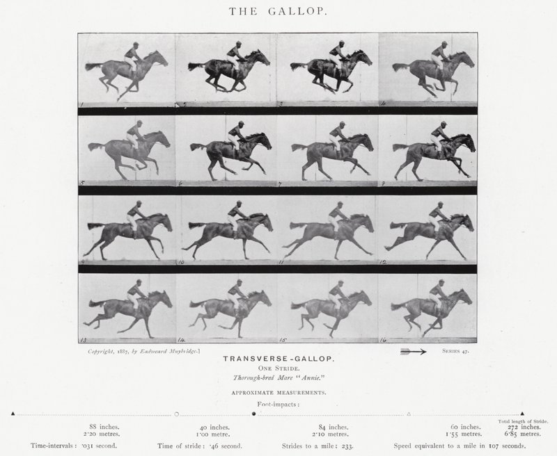 Eadweard Muybridge: El galope (foto en b/n) de Eadweard Muybridge