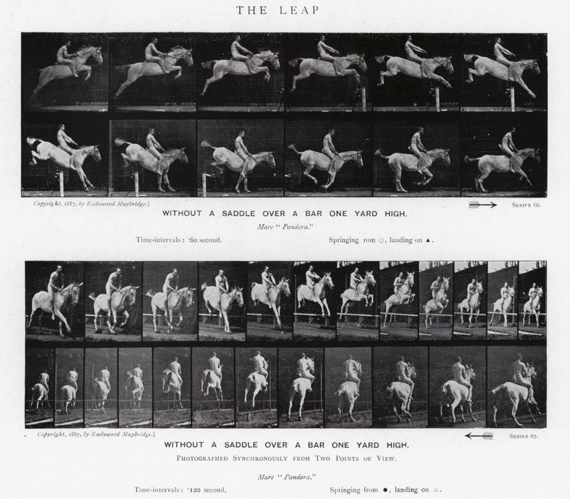Eadweard Muybridge: El Salto de Eadweard Muybridge