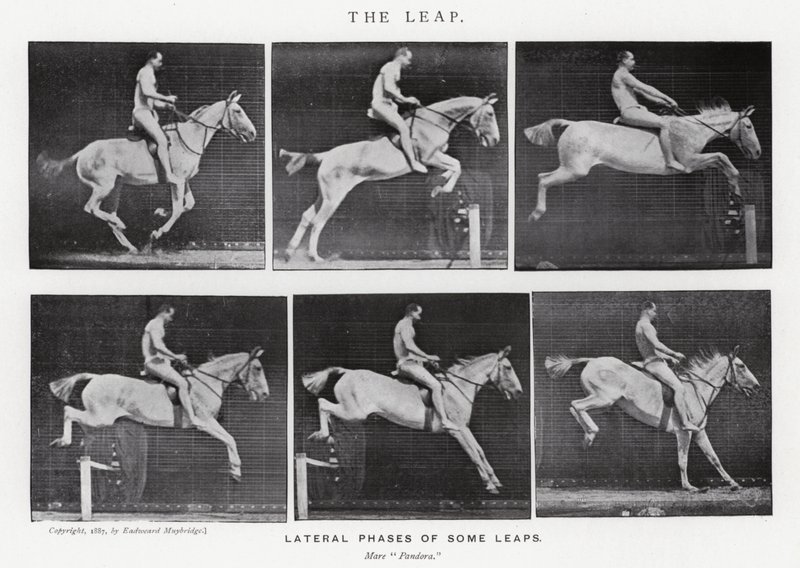 Eadweard Muybridge: El Salto de Eadweard Muybridge