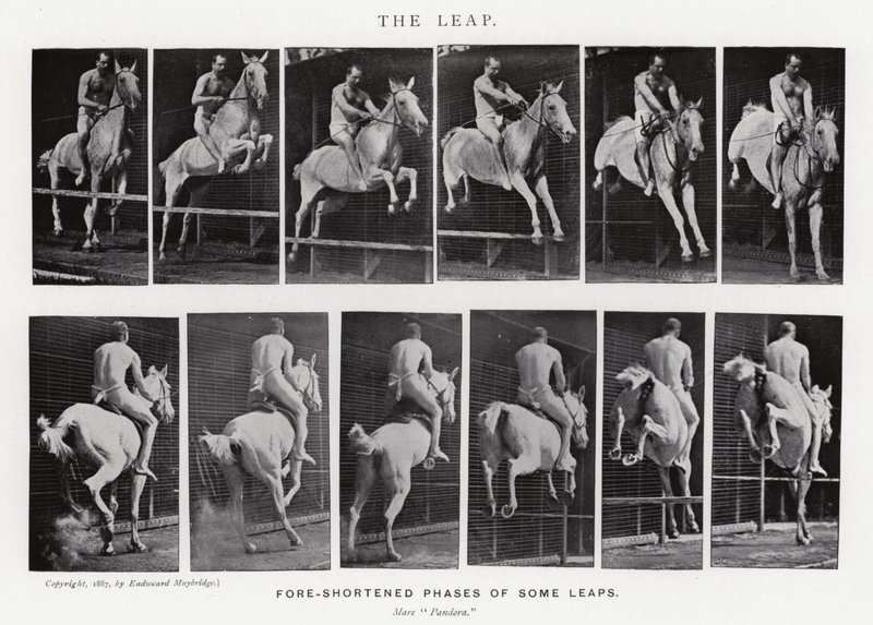 Eadweard Muybridge: El Salto de Eadweard Muybridge
