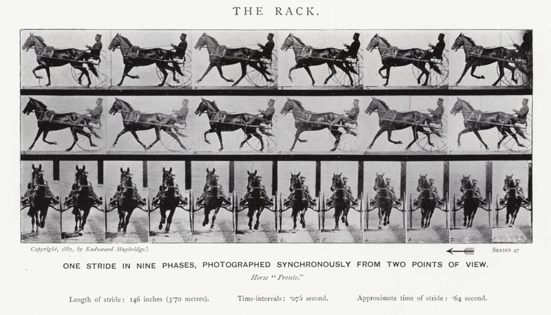 Eadweard Muybridge: El Galope Largo de Eadweard Muybridge