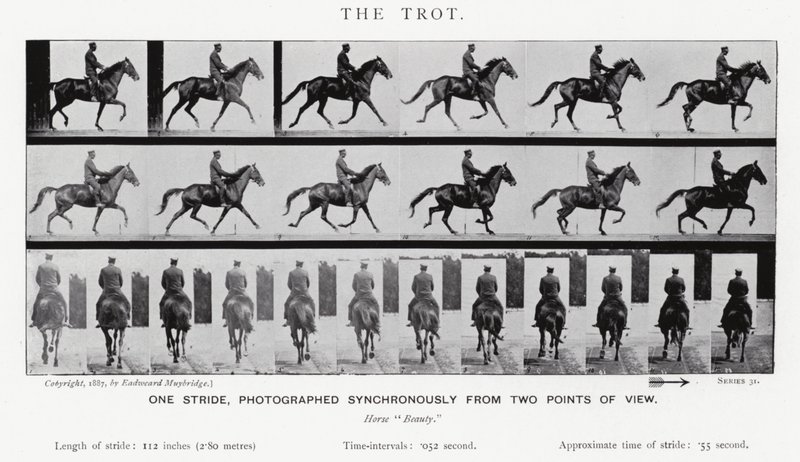 El Trote de Eadweard Muybridge
