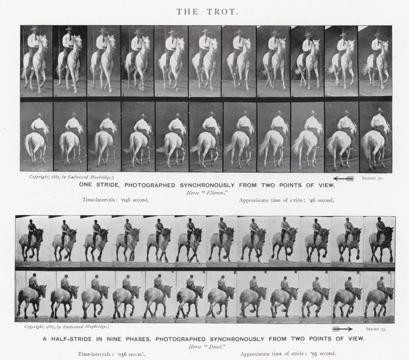 El Trote de Eadweard Muybridge