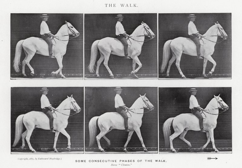 Eadweard Muybridge: El Paseo de Eadweard Muybridge