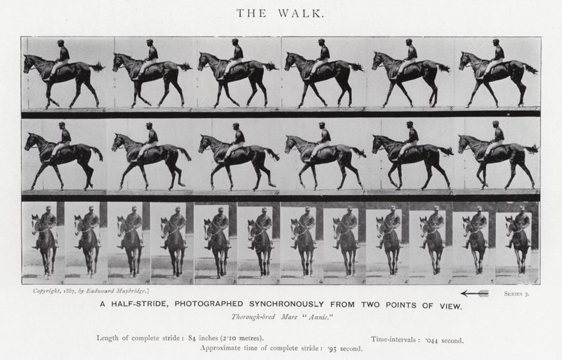 Eadweard Muybridge: El Paseo de Eadweard Muybridge