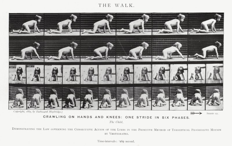 Eadweard Muybridge: El Paseo de Eadweard Muybridge