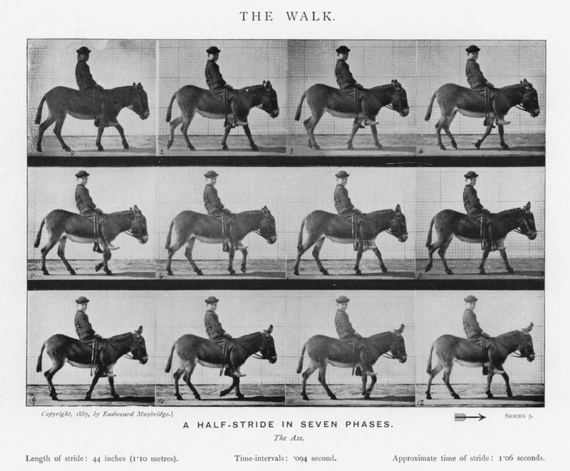 Eadweard Muybridge: El Paseo de Eadweard Muybridge
