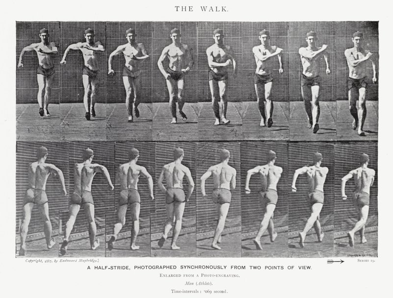 Eadweard Muybridge: El Paseo de Eadweard Muybridge