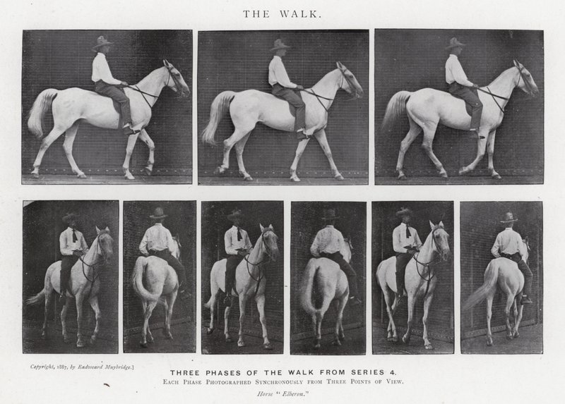 Eadweard Muybridge: La Caminata de Eadweard Muybridge