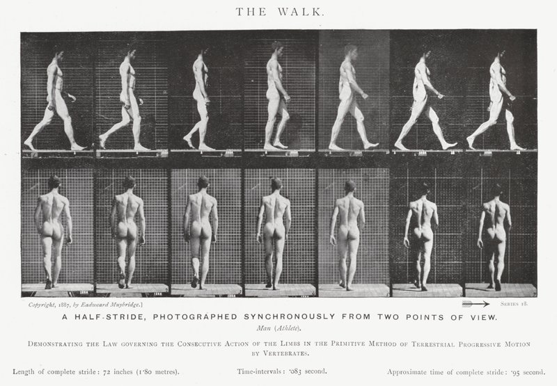 Eadweard Muybridge: La Caminata de Eadweard Muybridge