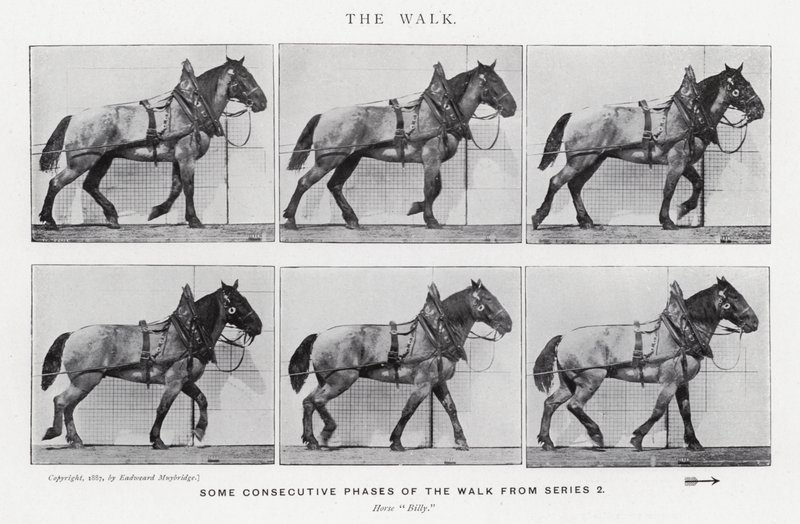 El Paseo de Eadweard Muybridge