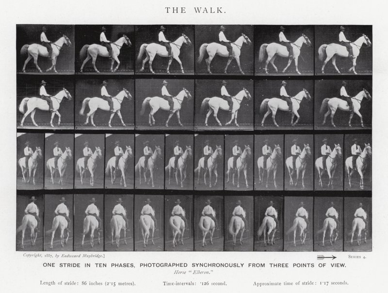 El Paseo de Eadweard Muybridge