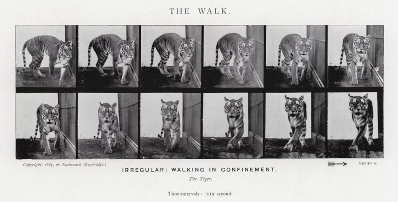 El Paseo de Eadweard Muybridge