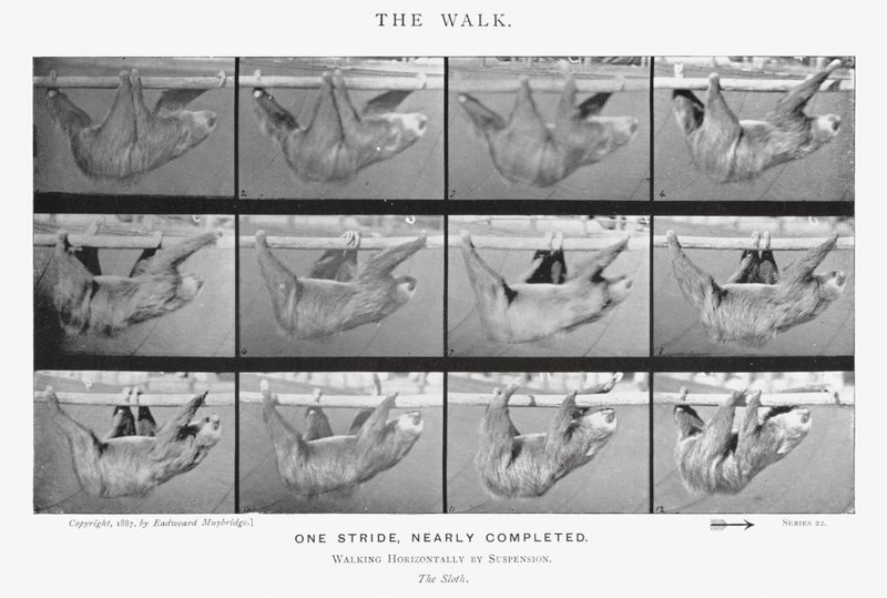 El Paseo de Eadweard Muybridge