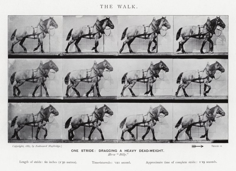 El Paseo de Eadweard Muybridge