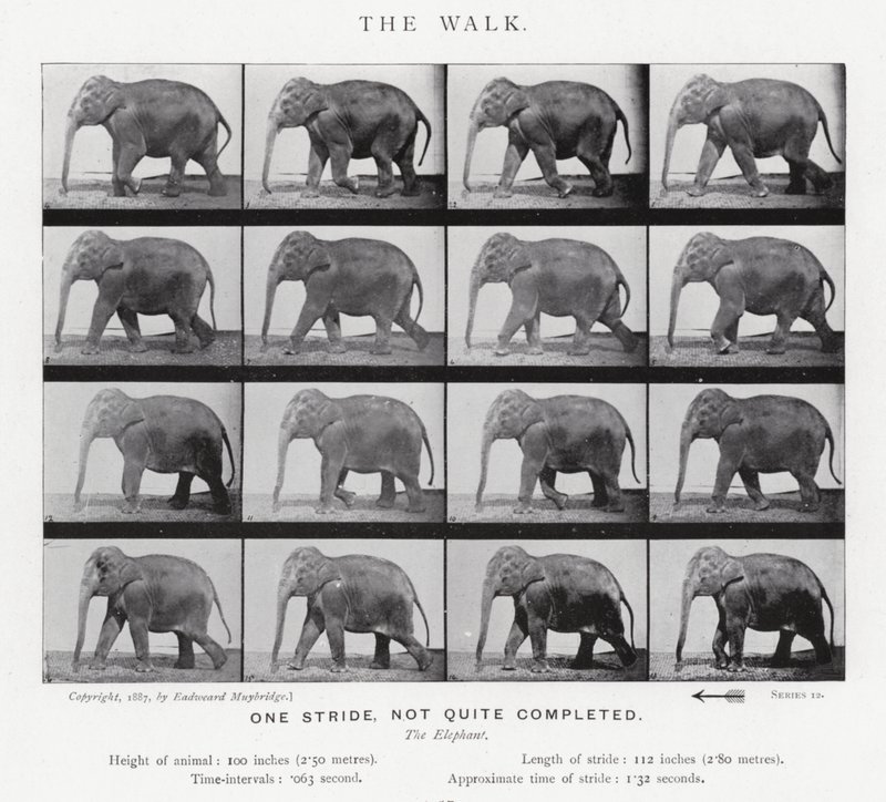 El Paseo de Eadweard Muybridge